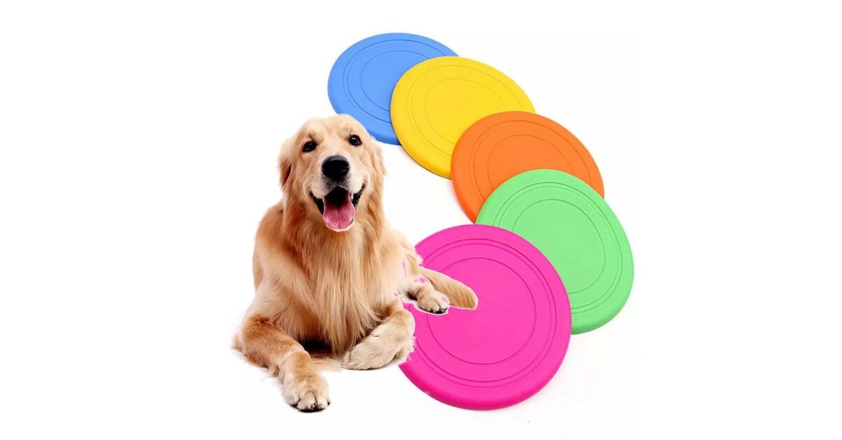 2 Frisbees Com-Four 27cm - Couleurs Vives - Pour Enfants, Adultes Et Chiens